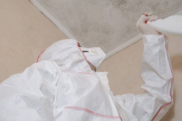 Best Mold Remediation for Schools in Barrington, NJ